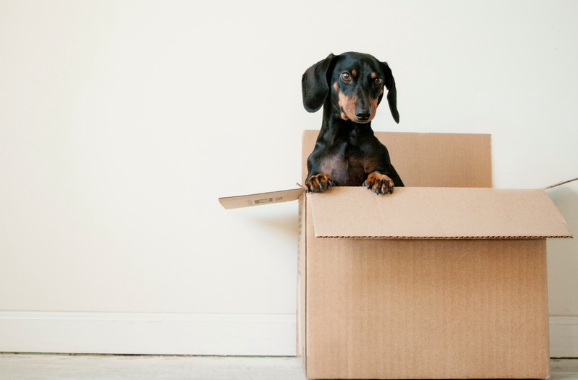 Brace Yourselves for Selling Your Property